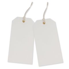 Strung & Eyeleted Tags