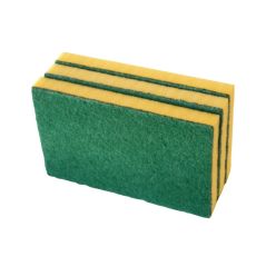 Sponge Scourer