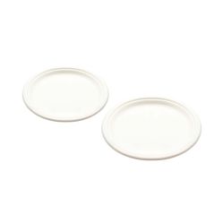 Disposable Plates