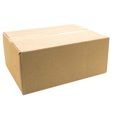 Plain Brown Carton 305 x 229 x 127mm