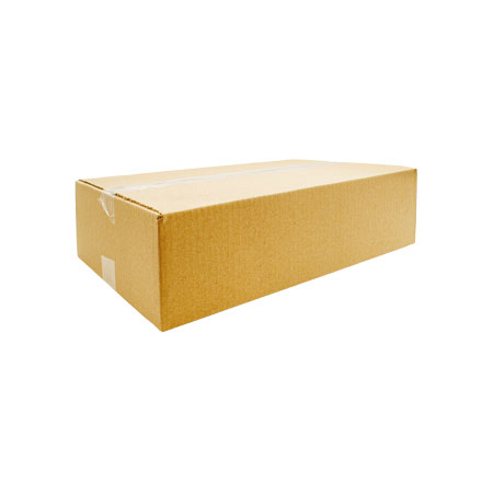 Plain Brown Carton 381 x 280 x 101mm